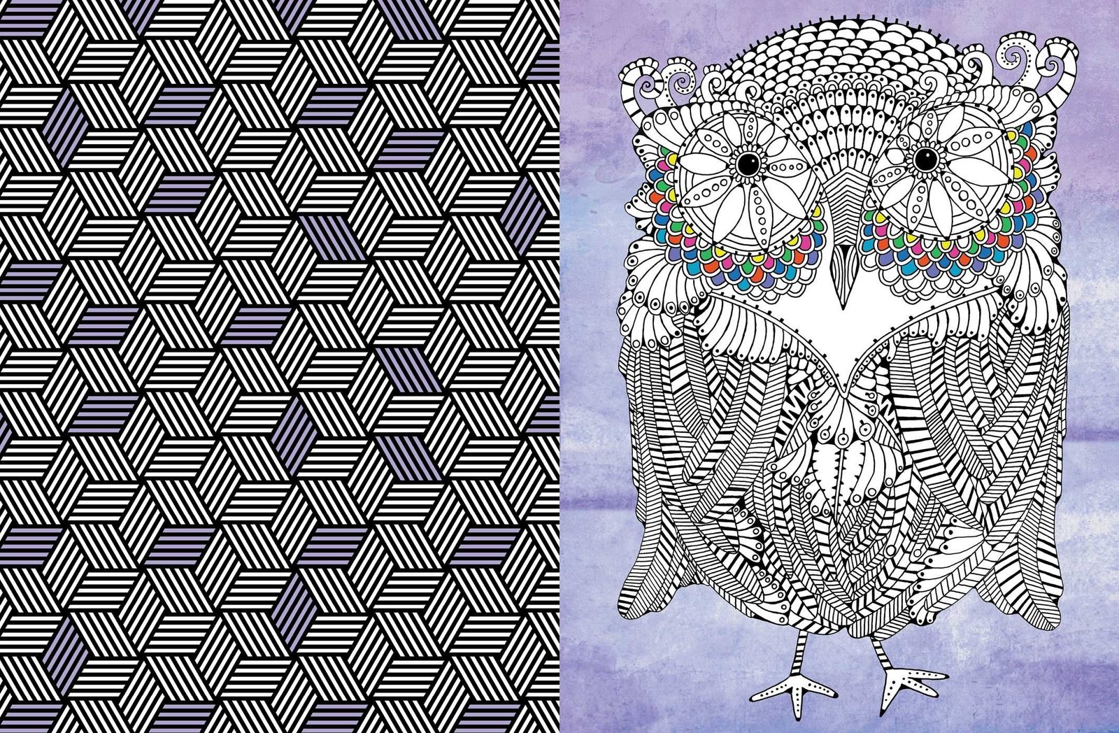 Art Therapy Hardcover Colouring Book for Teens & Adults Colour in and doodle intricate patterns