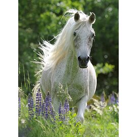 Ravensburger - Horse in Flowers Puzzle 100pc Jigsaw Puzzle