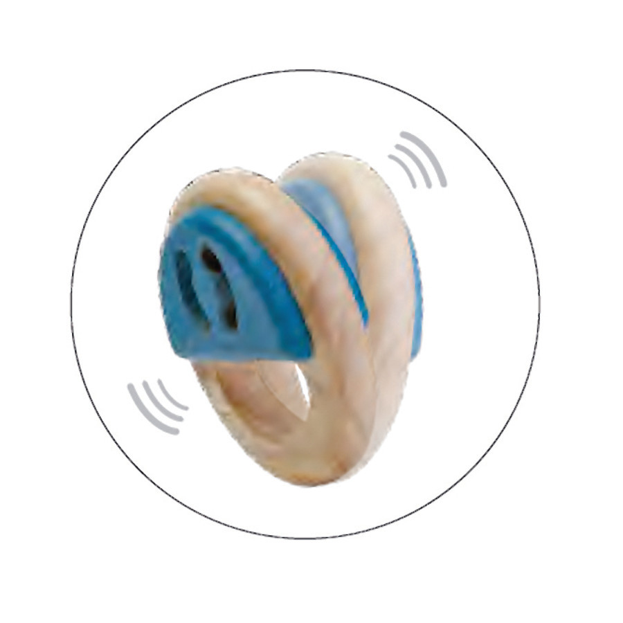 plan toys tambourine