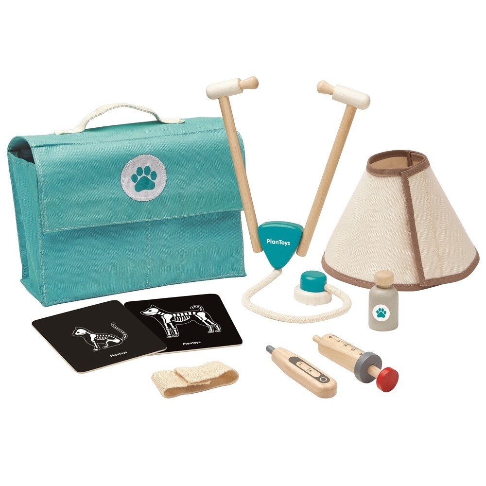 kids vet play set