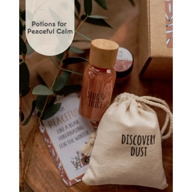 Mini Wild Adventure Potion Kit