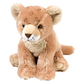 CK Lion Cub