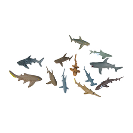 Shark Nature Tube