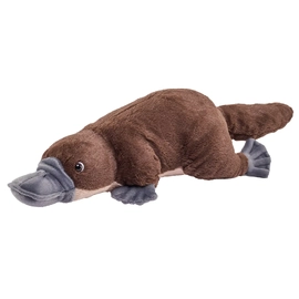 CK Platypus Plush Toy