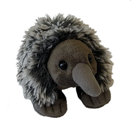 Pocketkins Eco Echidna