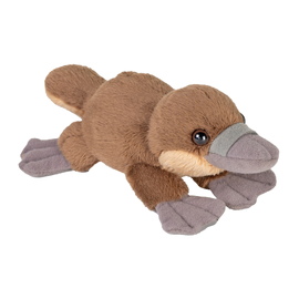 Pocketkins-Eco Platypus