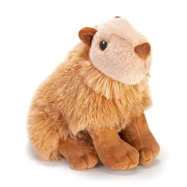 Ck Eco Mini capybara