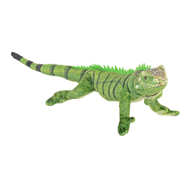 Coilkins Green Iguana Soft Toy