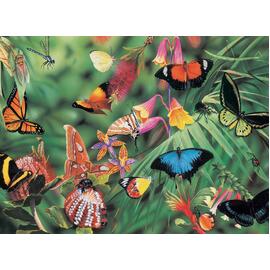 Blue Opal - Wild Australia Butterflies & Beetles 100pc
