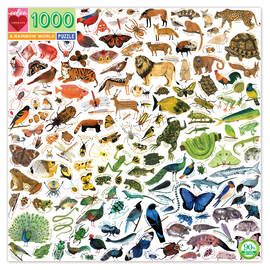 eeBoo Rainbow World 1000pc Square Jigsaw Puzzle