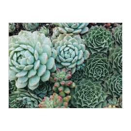 Galison Double-Sided Succulent Garden 500pc Jigsaw Puzzle