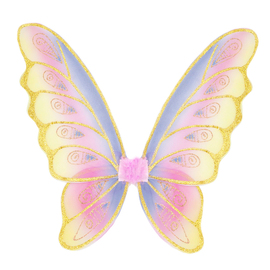 Glitter Rainbow Wings