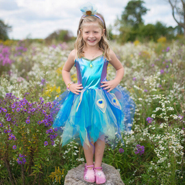 Pretty Peacock Dress & Headband Size 5-6