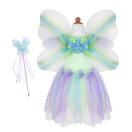 Green Butterfly dress & wings with wand - size 5-6