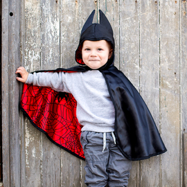 Toddler Reversible Spider & Bat Cape (Size 2-3 )