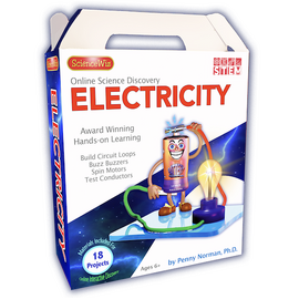 Science Wiz Online Science Discovery Electricity Activity Set