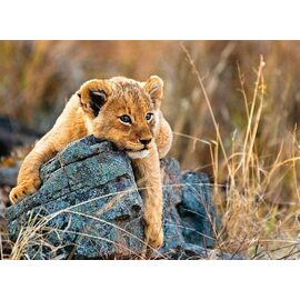 Ravensburger - Little Lion 200pc Jigsaw Puzzle