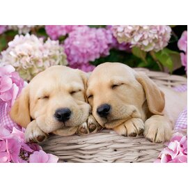 Ravensburger - Sweet Dogs in a Basket 300pc Jigsaw Puzzle