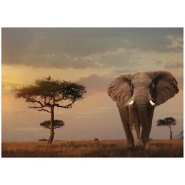 Ravensburger Nature Edition | Elephant of The Massai Mara Jigsaw Puzzle 1000pc