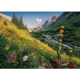 Ravensburger Magical Valley Jigsaw Puzzle 1000pc