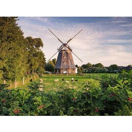 Ravensburger Windmill on the Baltic Sea 1500pc Jigsaw Puzzle
