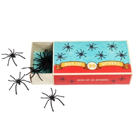 Rex London Classic Jokes - Spider Box