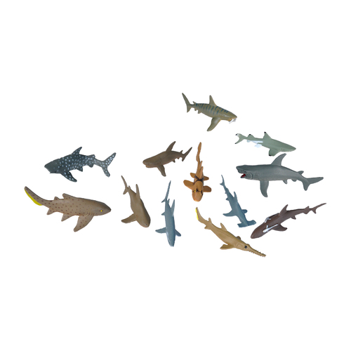 Shark Nature Tube
