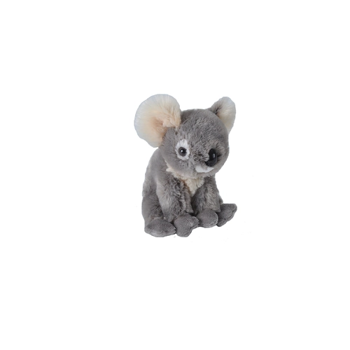 Ck Eco Mini Koala Plush Toy