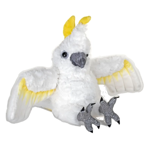 CK Mini Cockatoo