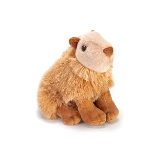 Ck Eco Mini capybara
