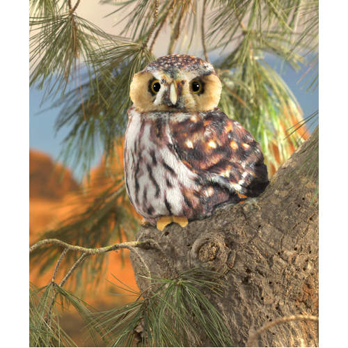 Pygmy Owl Puppet
