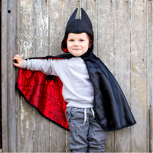 Toddler Reversible Spider & Bat Cape (Size 2-3 )