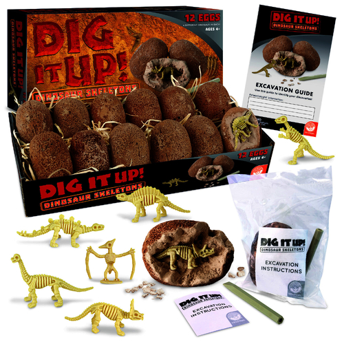 Dig It Up! Dinosaur Skeletons - Single Clay Egg
