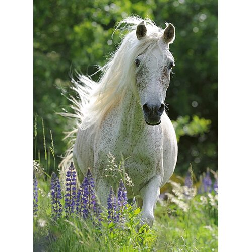 Ravensburger - Horse in Flowers Puzzle 100pc Jigsaw Puzzle