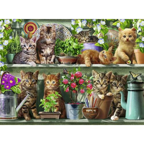 Ravensburger Cats On The Shelf Jigsaw Puzzle 500pc