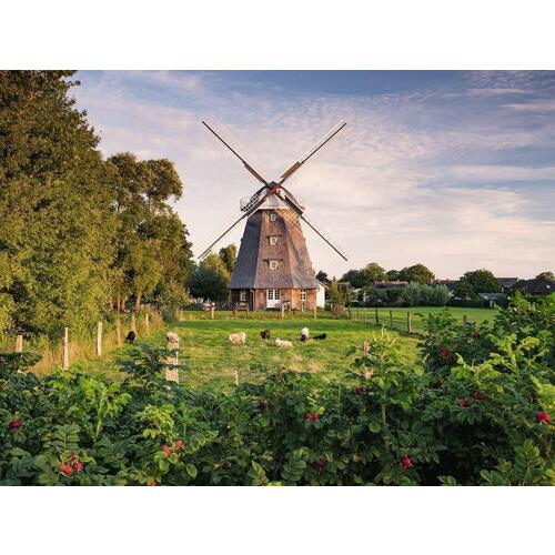 Ravensburger Windmill on the Baltic Sea 1500pc Jigsaw Puzzle