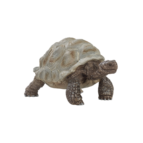 Schleich - Giant tortoise
