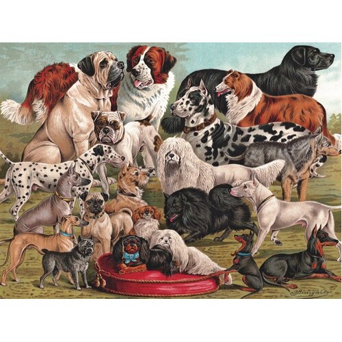 The New York Puzzle Company | Dog Breeds 1000pc Jigsaw Puzzle